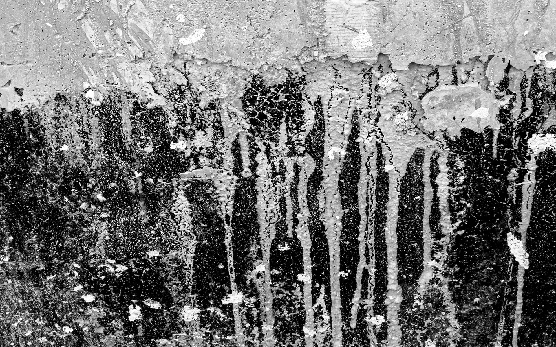 6 WSC abstract 00005