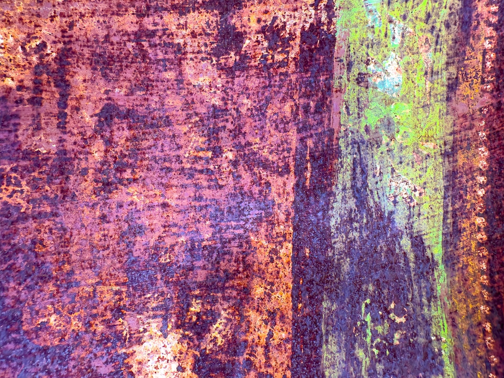 8 WSC abstract 00013