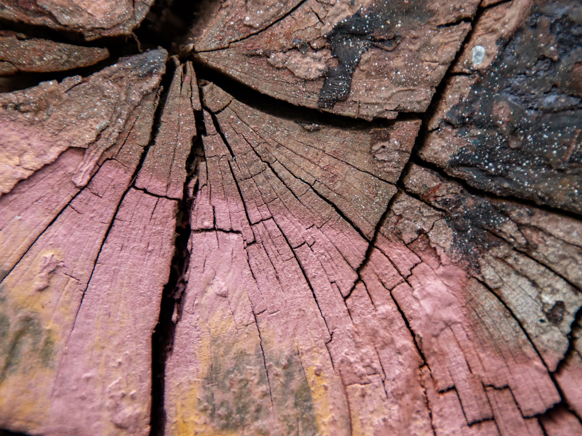 Abstract Lauwersoog 4