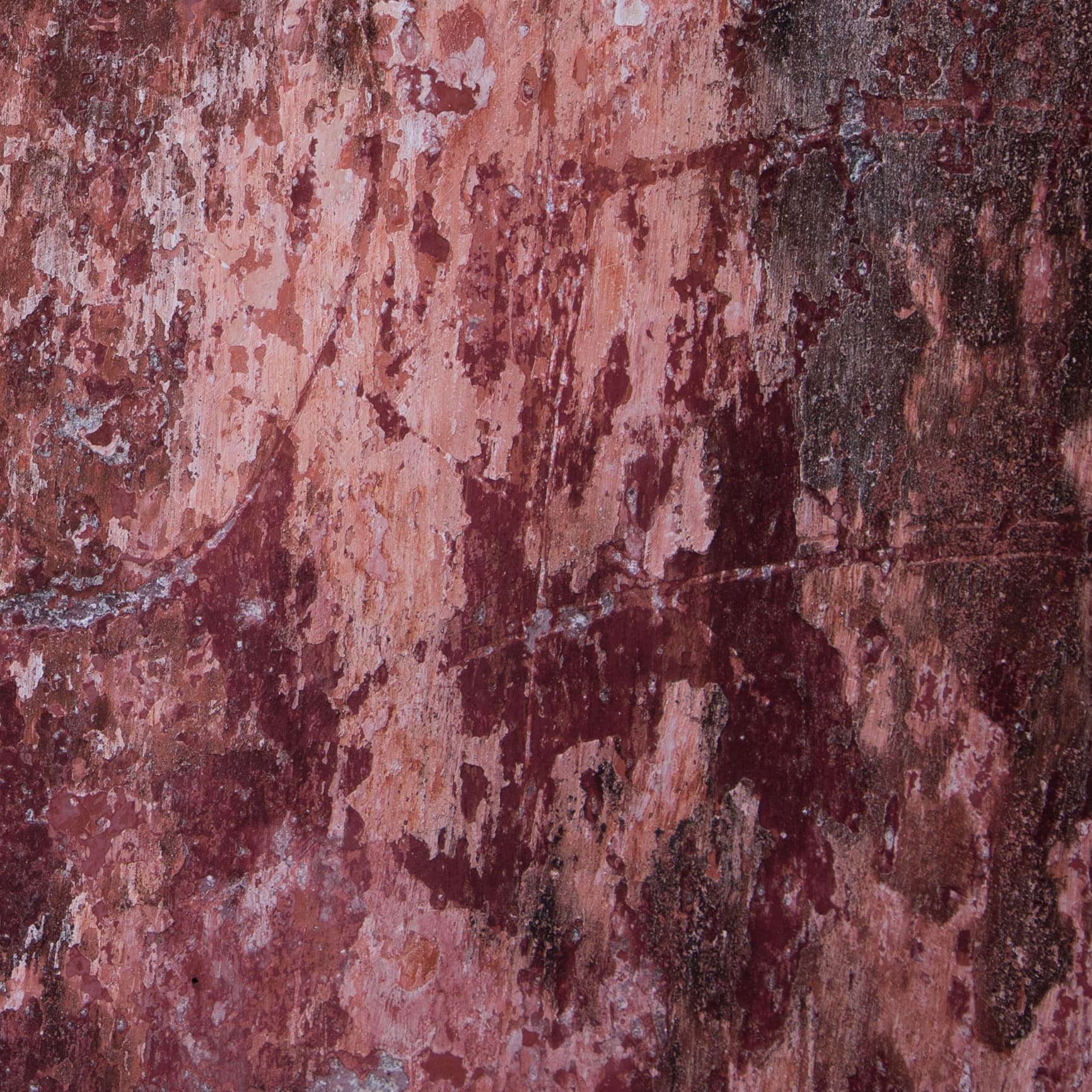 KC Abstract 1