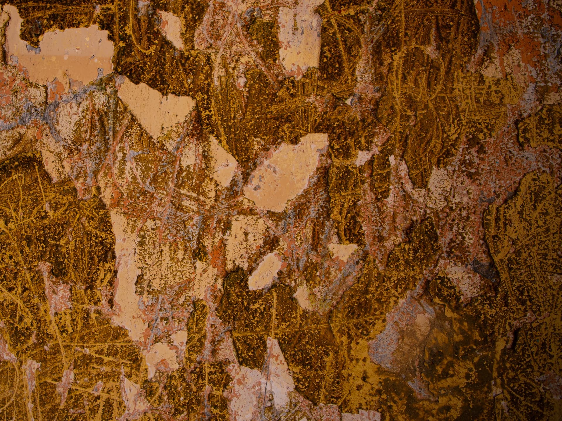 KC Abstract 6