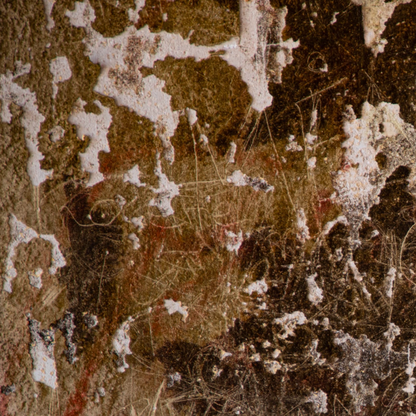 KC Abstract 8